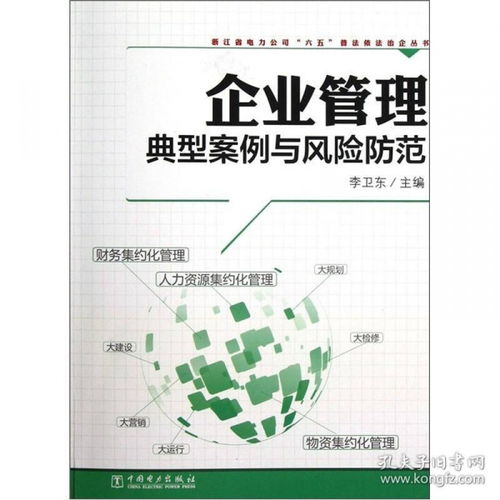企業(yè)管理典型案例與風(fēng)險防范